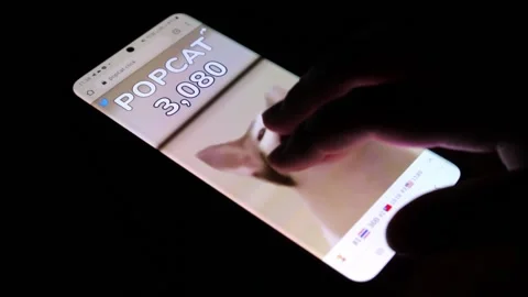 Popcat game being played by tapping finger on cat on modern smartphone Stock Footage 158935557