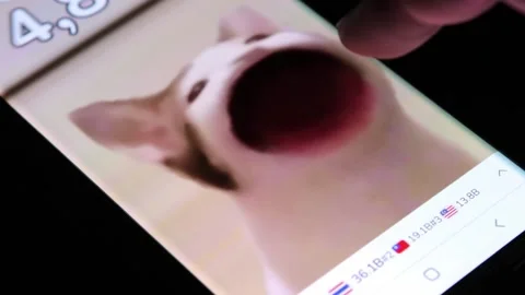 Popcat game being played by tapping finger on cat on modern smartphone Stock Footage 158935579