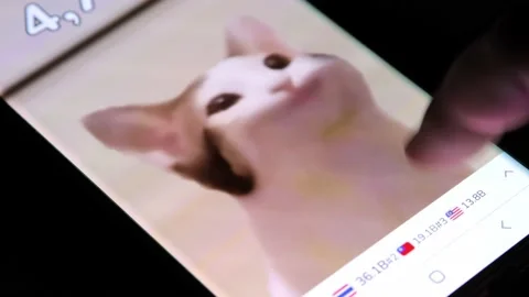 Popcat game being played by tapping finger on cat on modern smartphone Stock Footage 158935594