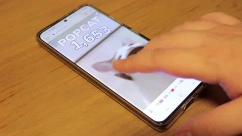 Popcat game being played by tapping finger on cat on modern smartphone Stock Footage 158935606