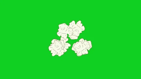 Popcorn animation on green screen background 動画素材 333151000