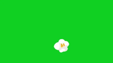 Popcorn animation on green screen background 库存影片 333151002