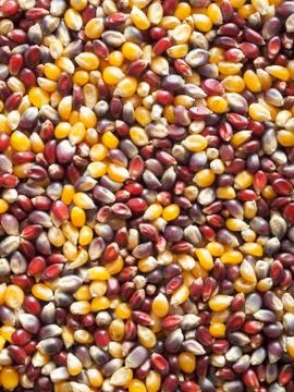 Popcorn background Stock Photos