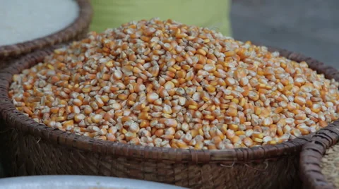 Popcorn in Bulk Market Stock Footage 61398650