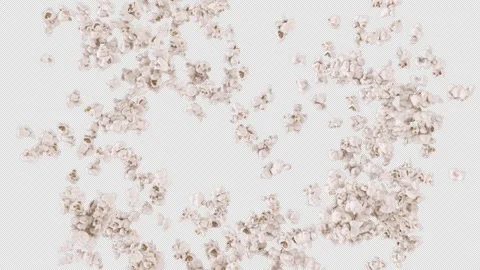 Popcorn Burst on Alpha Channel Stock Footage 247045289