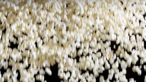 Popcorn Cascade Stockbeeldmateriaal 342427206