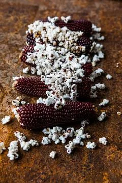 Popcorn cobs flat lay. Colored corn cobs. Organic farm bio vegetables. Autu.. Stock Photos