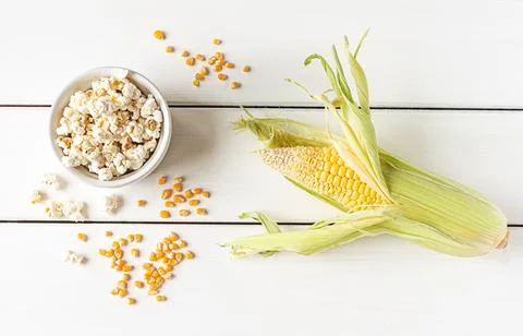 Popcorn, corn cob and corn grains on white background Stock Photos
