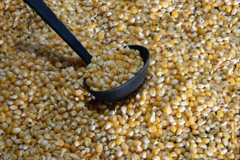 Popcorn corn grains on a kitchen table and household items Stock Photos