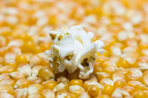 Popcorn on corn seeds Stock Photos