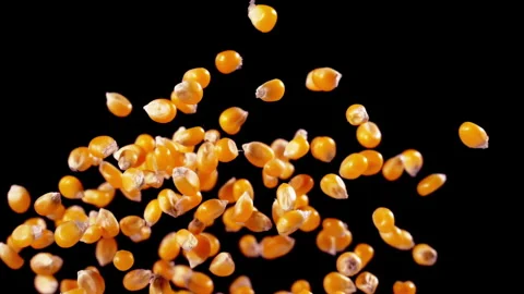 Popcorn explodes closeup in super slow motion 1000fps Stock Footage 257055700