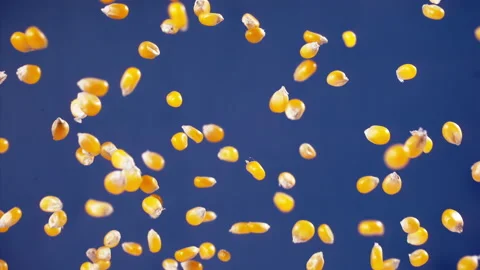 Popcorn explodes closeup in super slow motion 1000fps Stock Footage 257055968