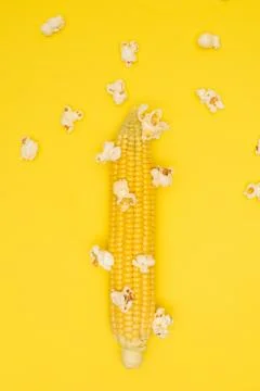 Popcorn explodes on the cob of corn on a yellow background. Stock Photos