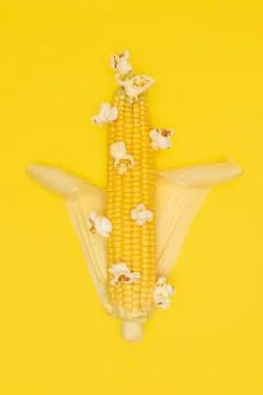 Popcorn explodes on the cob of corn on a yellow background. Stock Photos