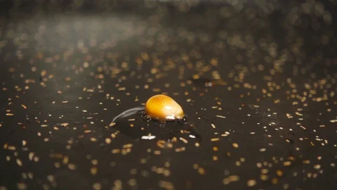 Popcorn explodes in a frying pan, slow motion Stock Footage 86867175