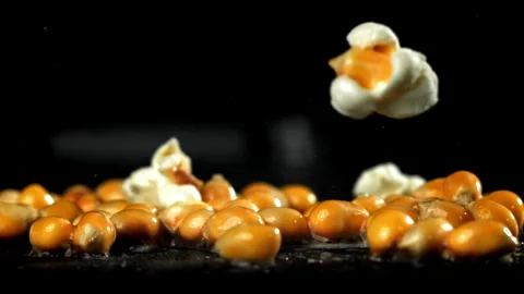 Popcorn explodes in a pan with a splash of oil. Filmed on a high-speed camera at Stock Footage 263252410