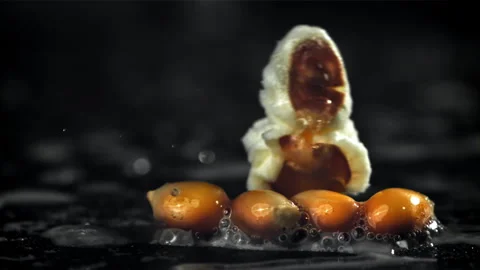 Popcorn explodes in a pan with a splash of oil. Filmed on a high-speed camera at Stock Footage 263253375
