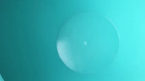 Popcorn falling into a blue bowl Stock Footage 103574332