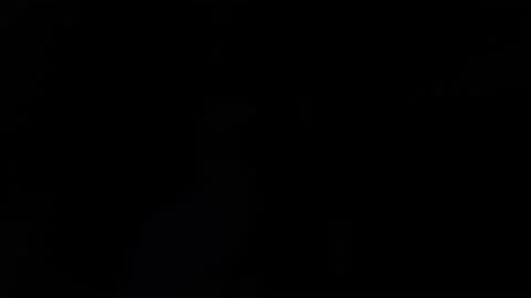 Popcorn Flying and Falling Isolated on black Background. Stock Footage 171257815