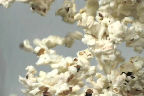 POPCORN Stock Footage 78348