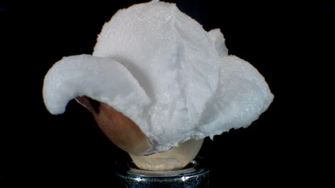 Popcorn Kernel Popping at 30000 FPS 4K PRO RES Stock Footage 119119403