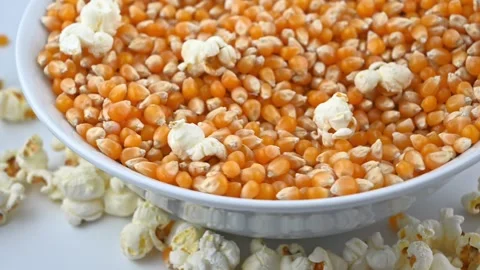 Popcorn kernels and popped corn in white bowl on table Stock Footage 331591651