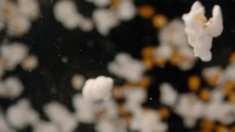 Popcorn kernels cooking in a pan Stock Footage 274643633