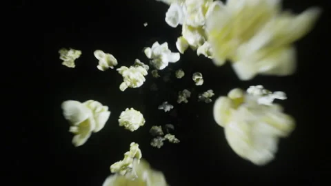 Popcorn kernels falling into frame and fading into darkness in slow motion Video stock 153565405