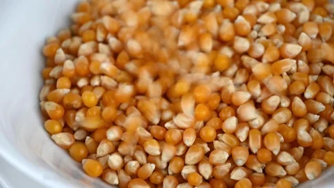 Popcorn kernels pouring and settling into ceramic bowl on table Stock Footage 331591606