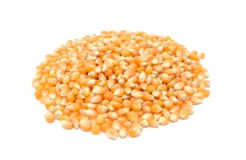 Popcorn maize Stock Photos