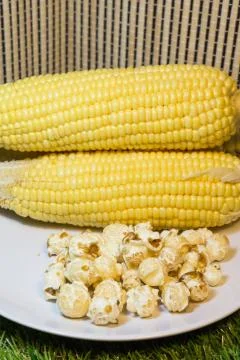 Popcorn Stock Photos