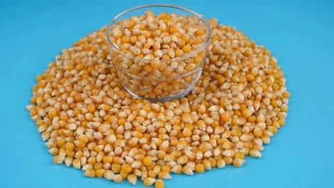 Popcorn seeds rotate Stock-Footage 236193116