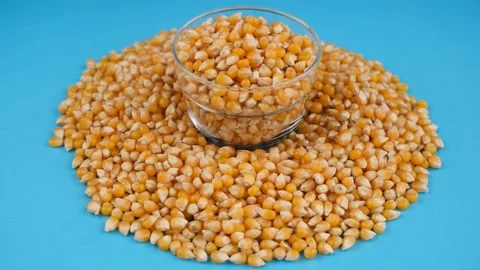 Popcorn seeds rotate Video stock 236193191
