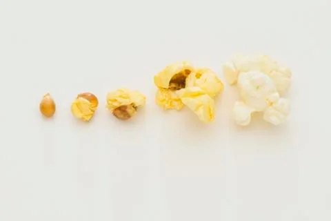 Popcorn Series from Kernel to Fully Popped Stock Photos