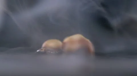 Popcorn, Slow Motion Stock Footage 9293561