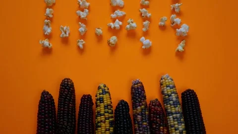 Popcorn stop motion. Multicolored corn and popcorn on a orange background Stock Footage 302106239