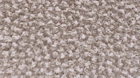 Popcorn Transition Video stock 232651231