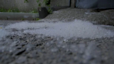 Poplar allergen fluff 4K Stock-Footage 90236873