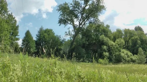 Poplar fall Stock Footage 122585025