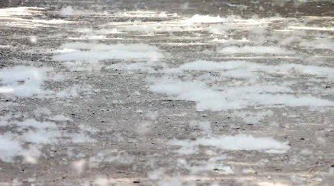 Poplar fluff Stock Footage 24807046