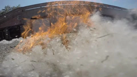 POPLAR FLUFF Stock Footage 244207145