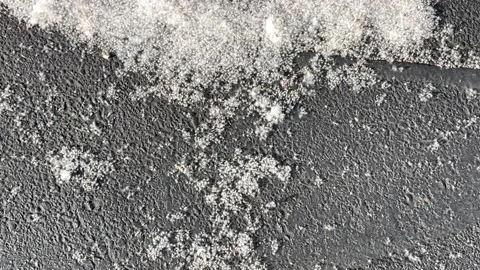 Poplar fluff gathered at the curb. Poplar fluff flies near the asphalt, top veiw Stock Footage 245961847