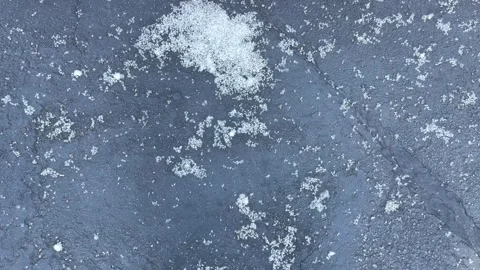 Poplar fluff gathered at the curb. Poplar fluff flies near the asphalt Stock Footage 245961862
