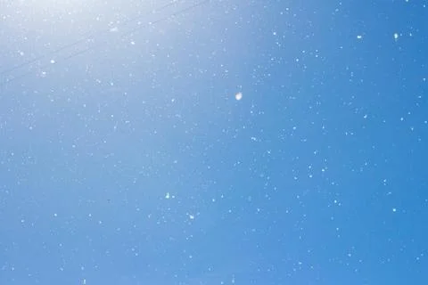 Poplar fluff on sky Stock Photos