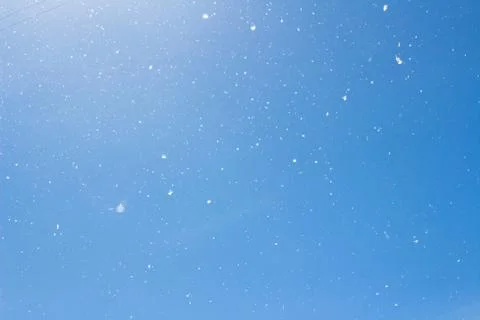 Poplar fluff on sky Stock-Fotos