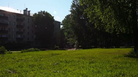 Poplar fluff on a sunny day Stock Footage 76700599