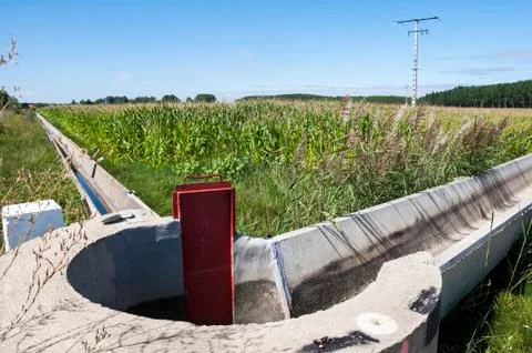 Poplar groves and cornfields in the plain of the River Esla, in Leon Province Foto stock