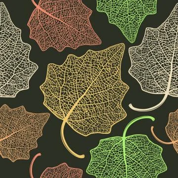 Poplar  leaf skeleton pattern Stock Illustration