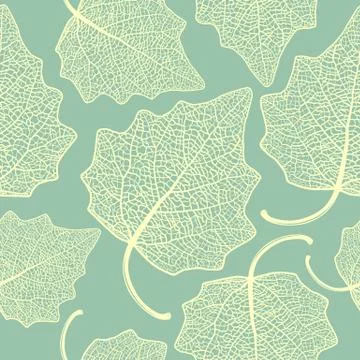 Poplar  leaf skeleton pattern Stock Illustration