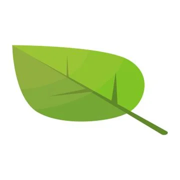 Poplar tree leaf icon, isometric style Illustrazione stock